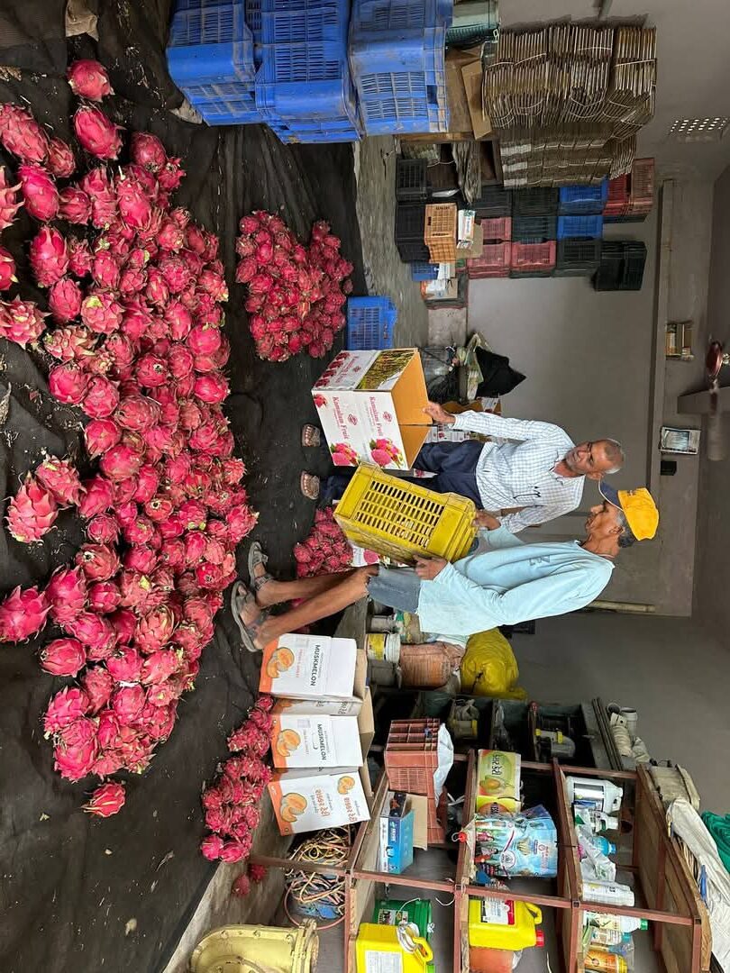 રાસાયણિક ખેતીથી પ્રાકૃતિક ખેતી તરફ વળેલા ગઢશીશાના ખેડૂતે કમલમ્ ફળના ઉત્પાદનને વધુ ગુણવત્તાયુક્ત બનાવ્યું